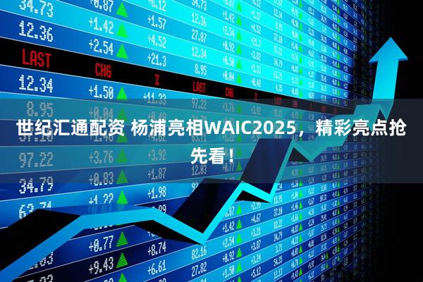 世纪汇通配资 杨浦亮相WAIC2025，精彩亮点抢先看！