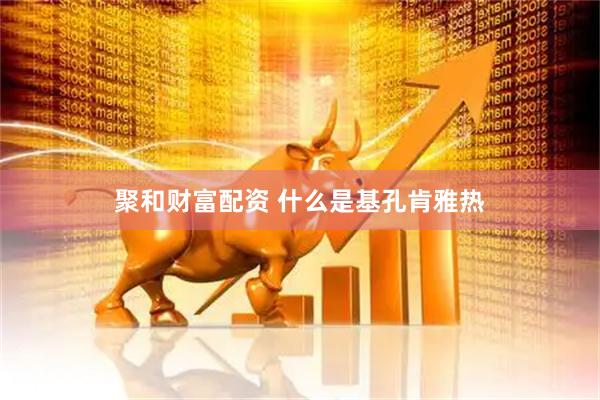 聚和财富配资 什么是基孔肯雅热