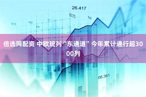 倍选网配资 中欧班列“东通道”今年累计通行超3000列