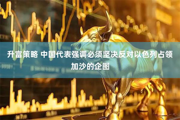 升富策略 中国代表强调必须坚决反对以色列占领加沙的企图