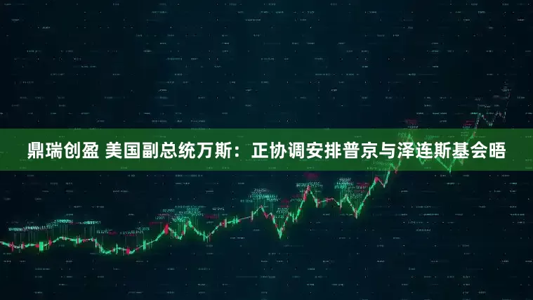 鼎瑞创盈 美国副总统万斯：正协调安排普京与泽连斯基会晤