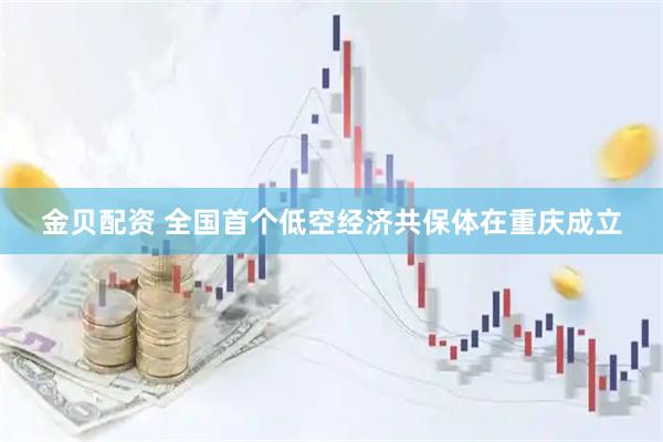 金贝配资 全国首个低空经济共保体在重庆成立
