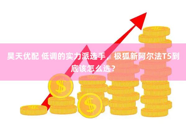昊天优配 低调的实力派选手，极狐新阿尔法T5到底该怎么选？