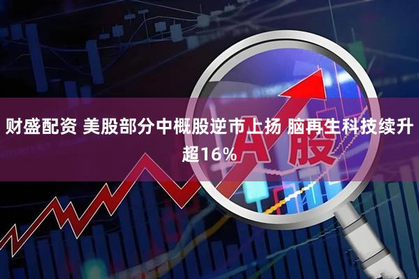 财盛配资 美股部分中概股逆市上扬 脑再生科技续升超16%